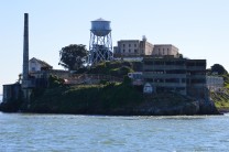 Alcatraz (Bild: Arno Wietschorke)