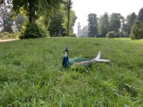 Schloss-Pfau (Bild: Selena Plaßmann)