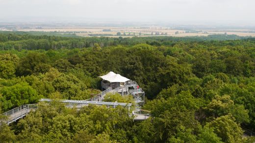 Vom Baumturm der Blick ins Thüringer Land