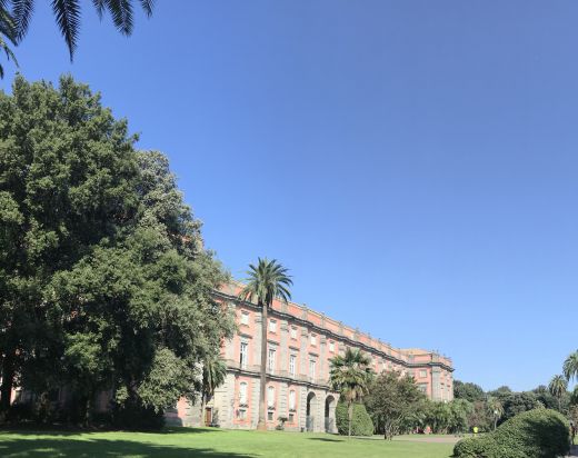 Das Königspalast und die Galerie von Capodimonte